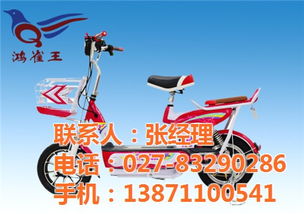 雀王電動(dòng)車(chē)品牌,鴻雀王電動(dòng)車(chē)廠家 已認(rèn)證 ,山西雀王
