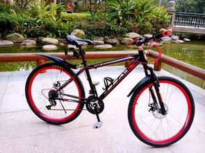 自行車尺寸解讀 XS、S、M、L 的意義及其在電動(dòng)自行車制造中的應(yīng)用